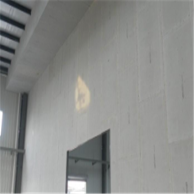 嘉定宁波ALC板|EPS加气板隔墙与混凝土整浇联接的实验研讨